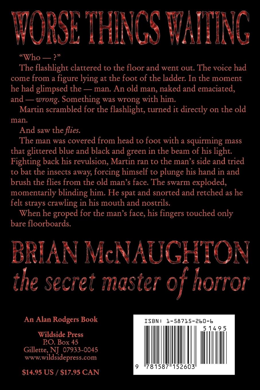 Rückseitencover Worse Things Waiting