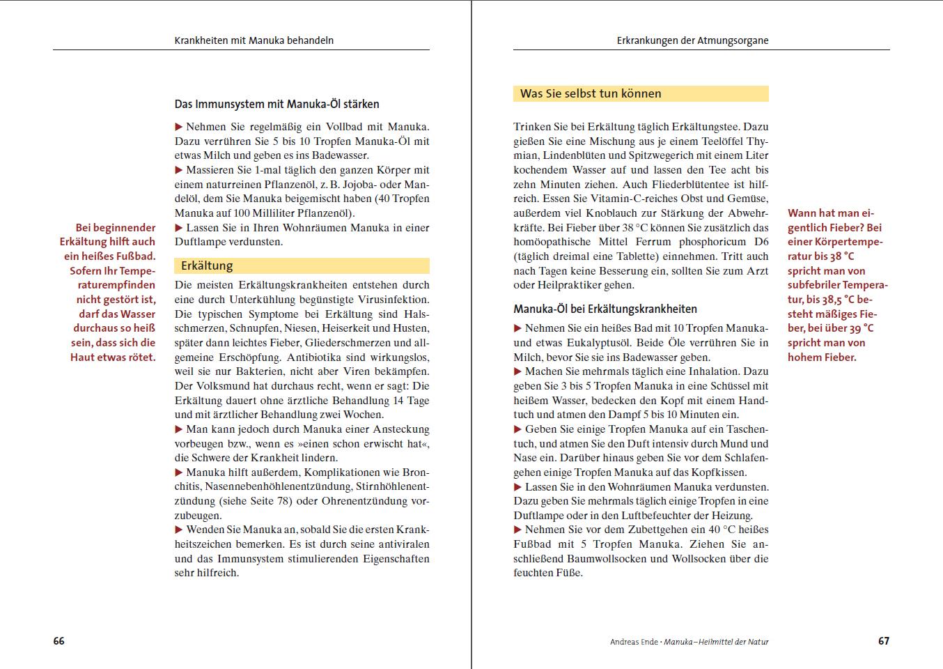 Beispielinhalt (Bild) Manuka-Heilmittel der Natur