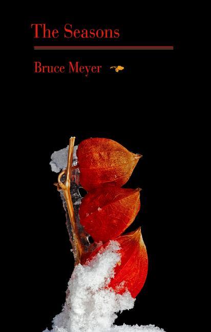 Vorderes Coverbild The Seasons