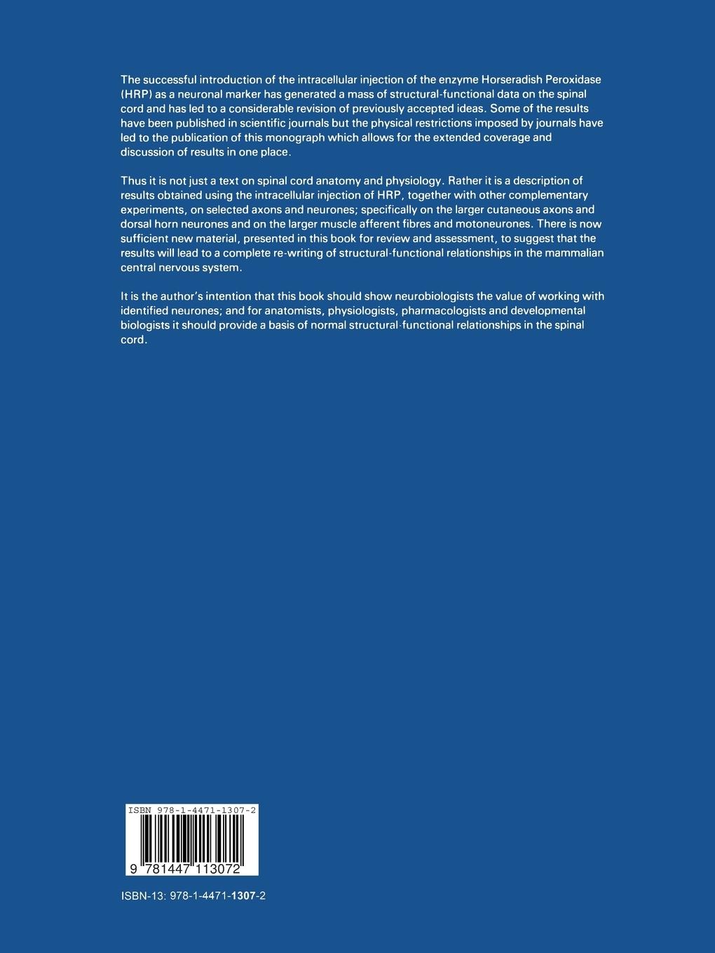 Rückseitencover Organization in the Spinal Cord