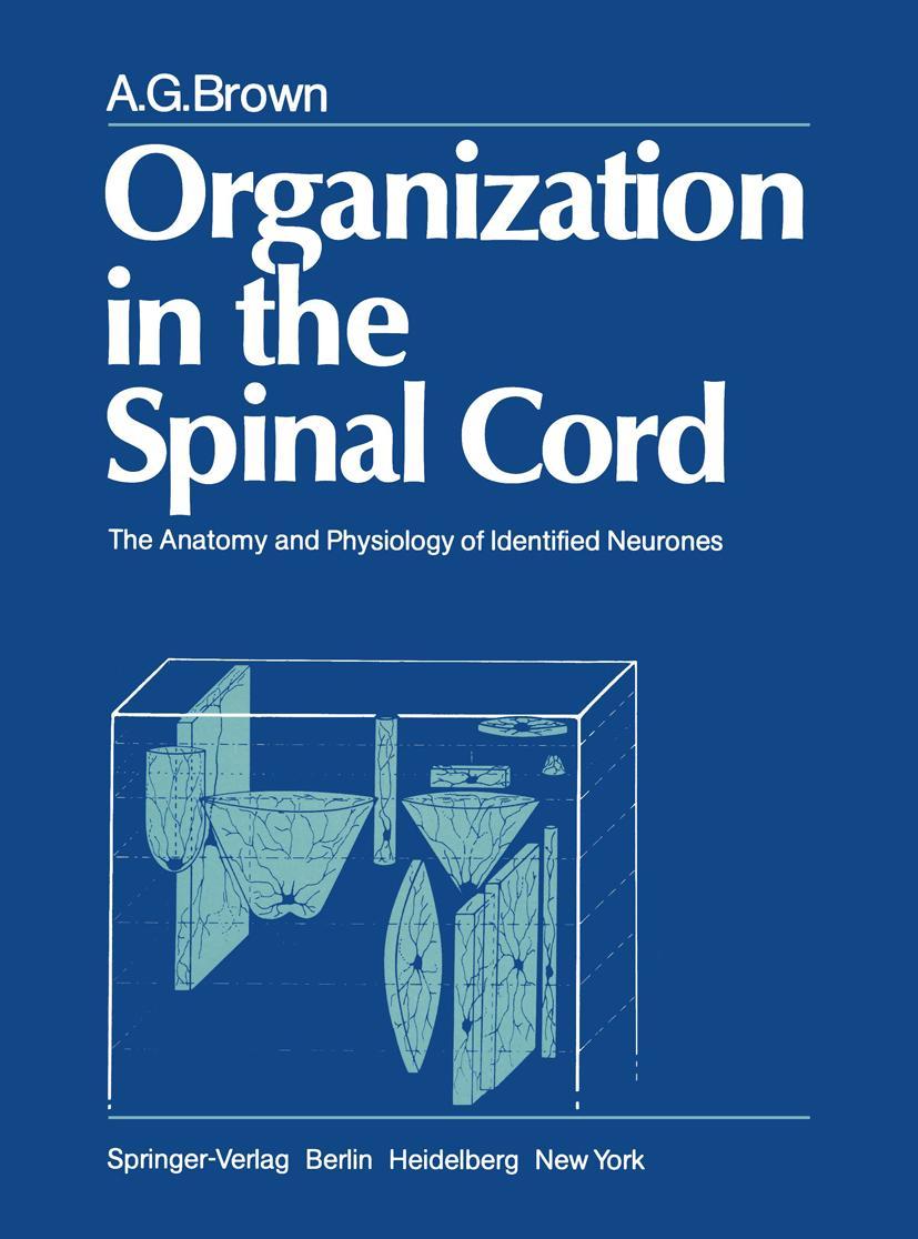 Vorderes Coverbild Organization in the Spinal Cord