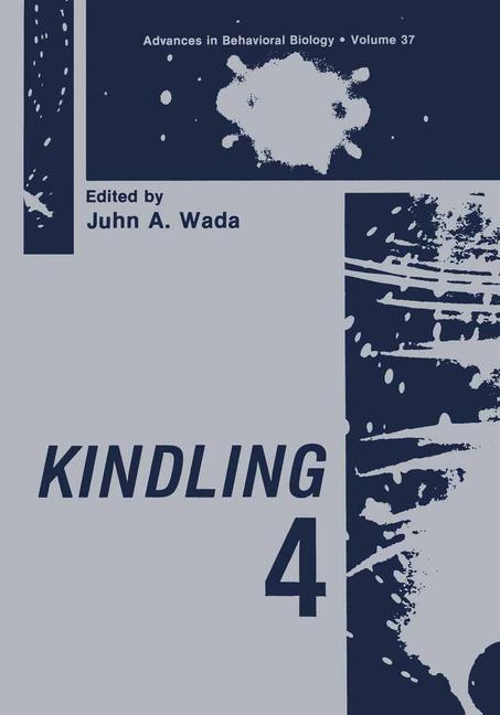 Vorderes Coverbild Kindling 4