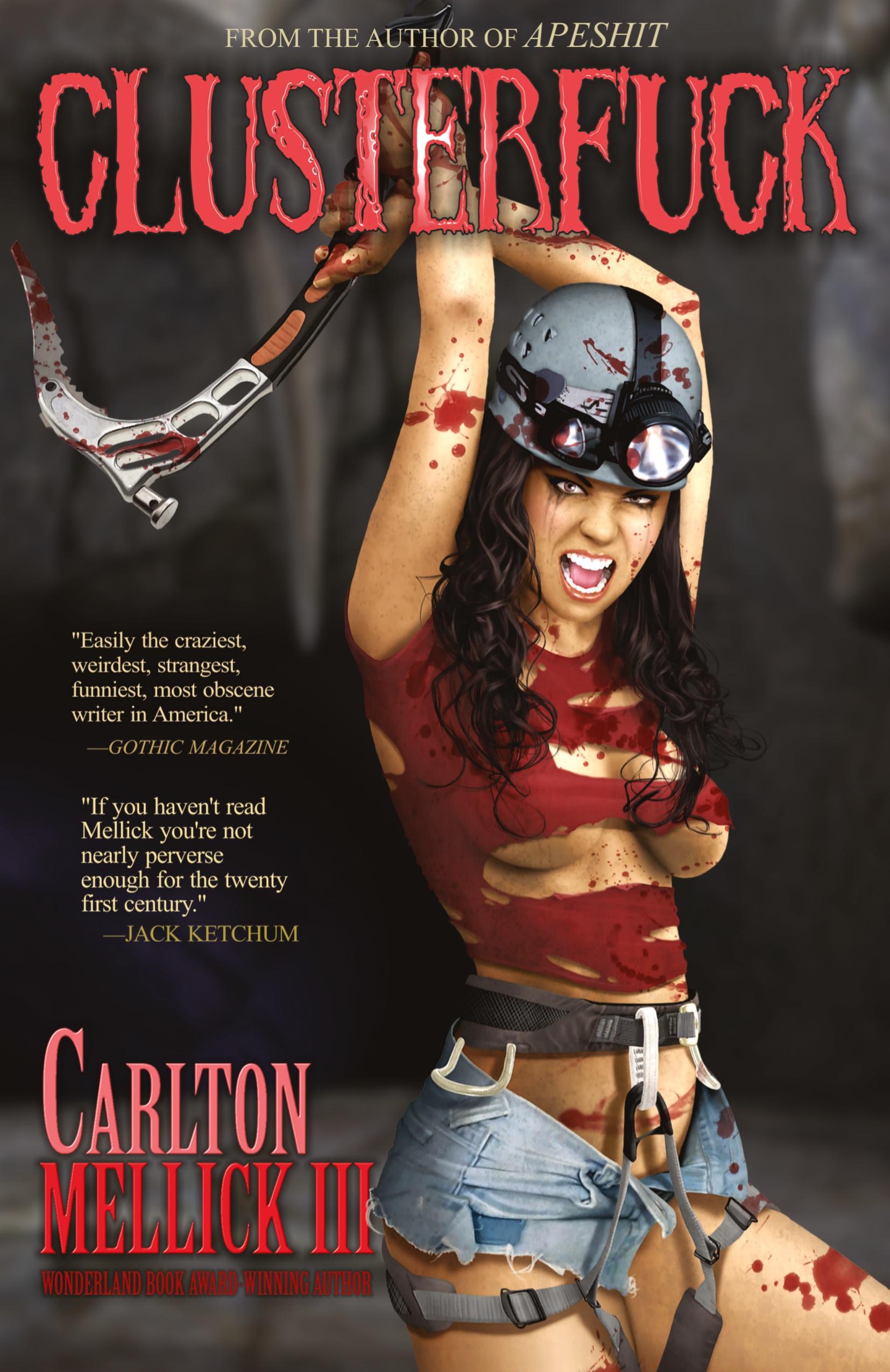 Vorderes Coverbild Clusterfuck