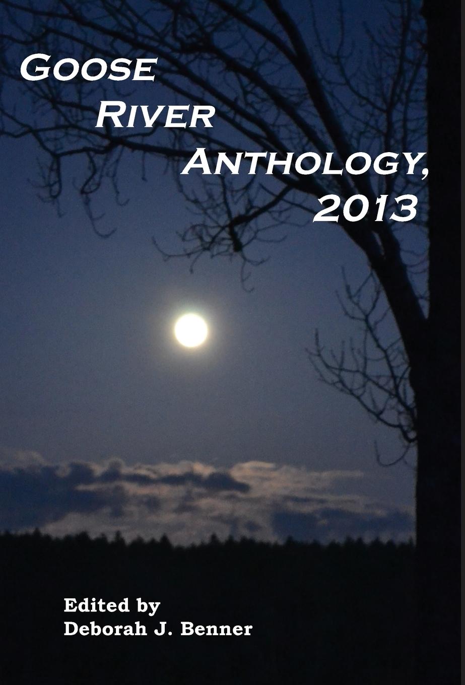 Vorderes Coverbild Goose River Anthology, 2013