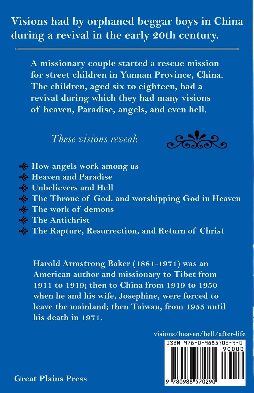 Rückseitencover Visions Beyond the Veil