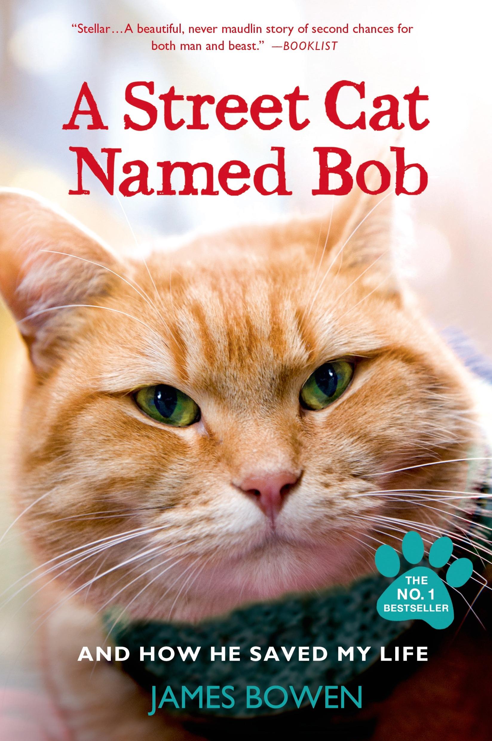 Vorderes Coverbild A Street Cat Named Bob and How He Saved My Life
