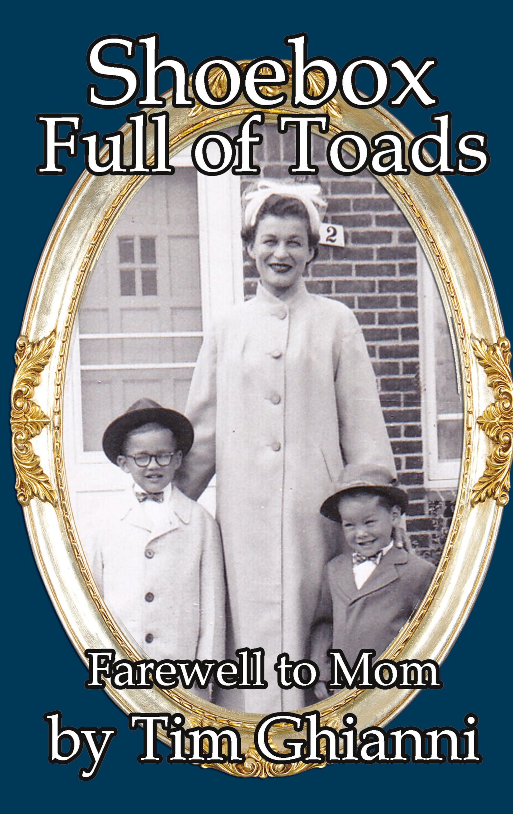 Vorderes Coverbild Shoebox Full of Toads