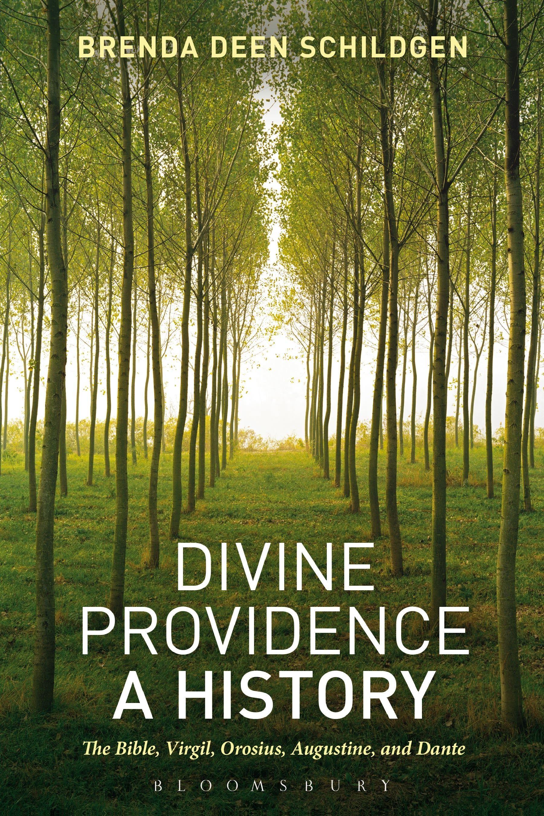 Vorderes Coverbild Divine Providence