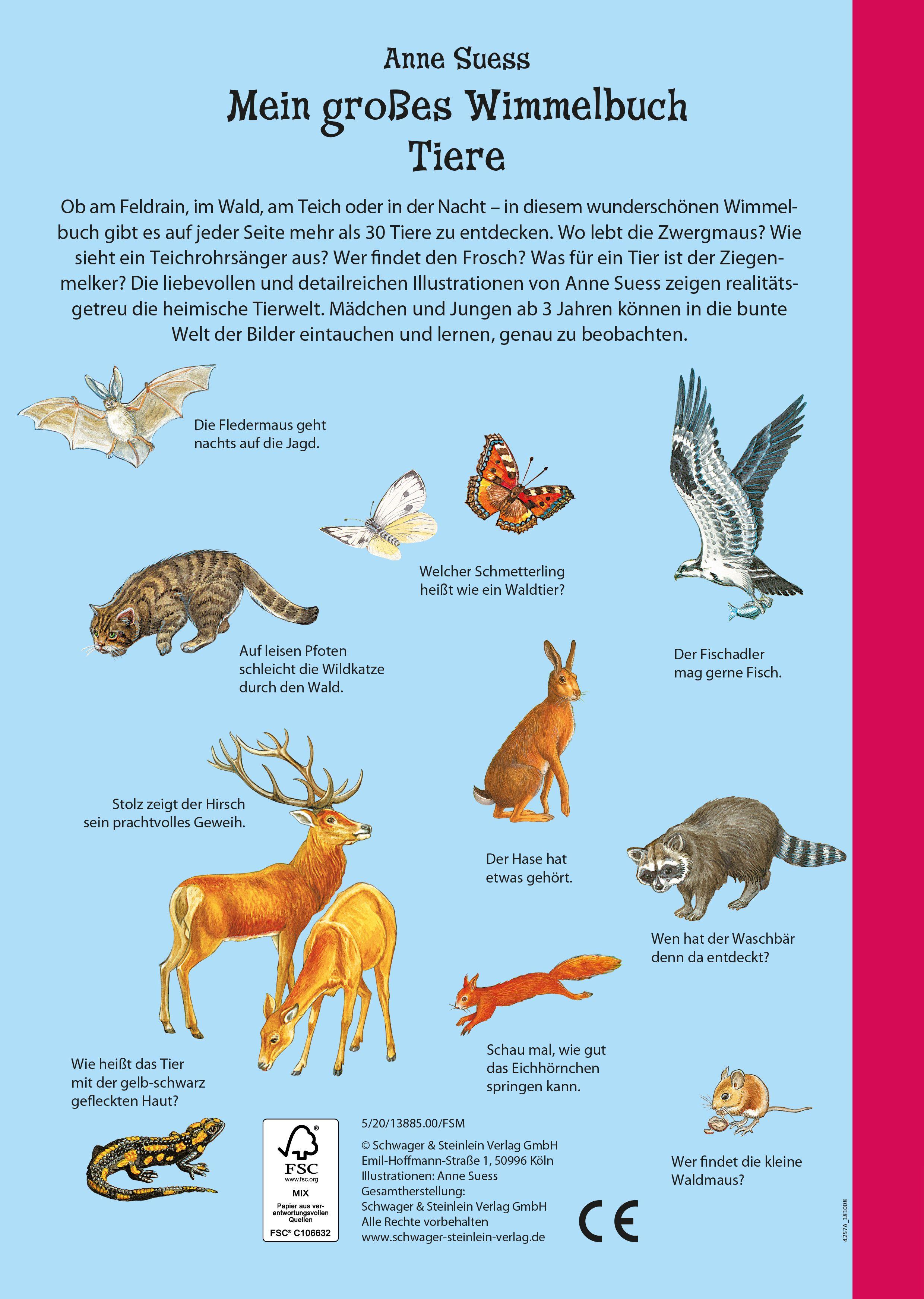 Beispielinhalt (Bild) Die große Anne Suess Wimmelbox