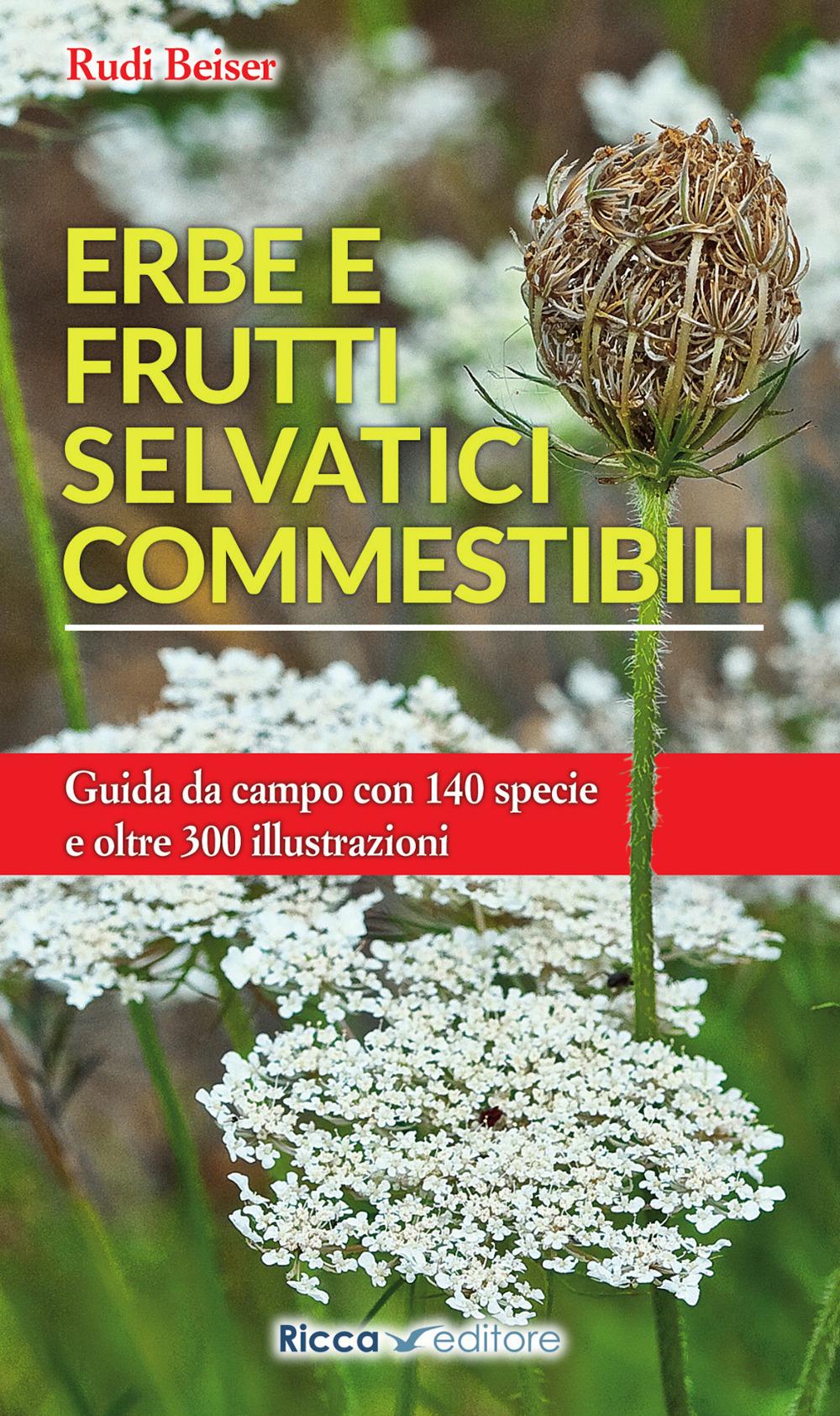 Vorderes Coverbild Erbe e frutti selvatici commestibili
