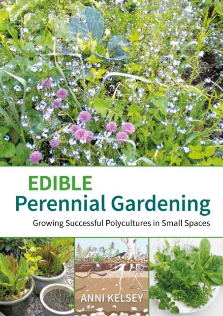 Vorderes Coverbild Edible Perennial Gardening: Growing Successful Polycultures in Small Spaces