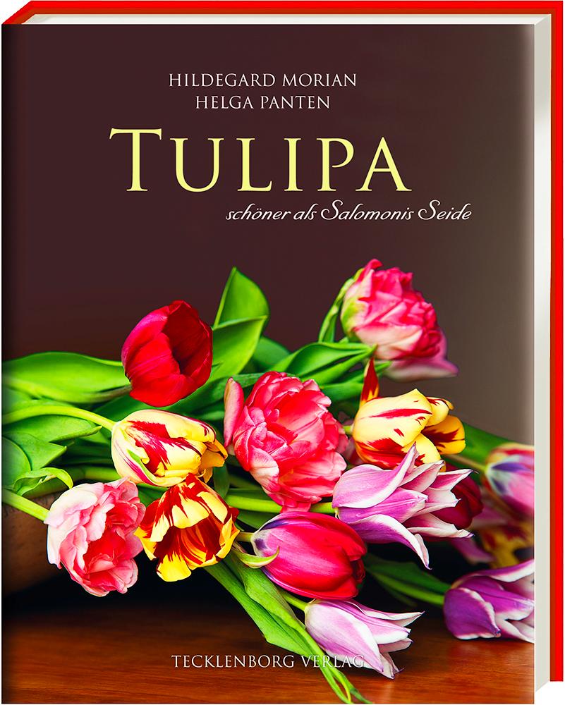 Vorderes Coverbild Tulipa
