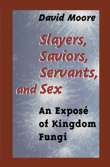 Vorderes Coverbild Slayers, Saviors, Servants and Sex