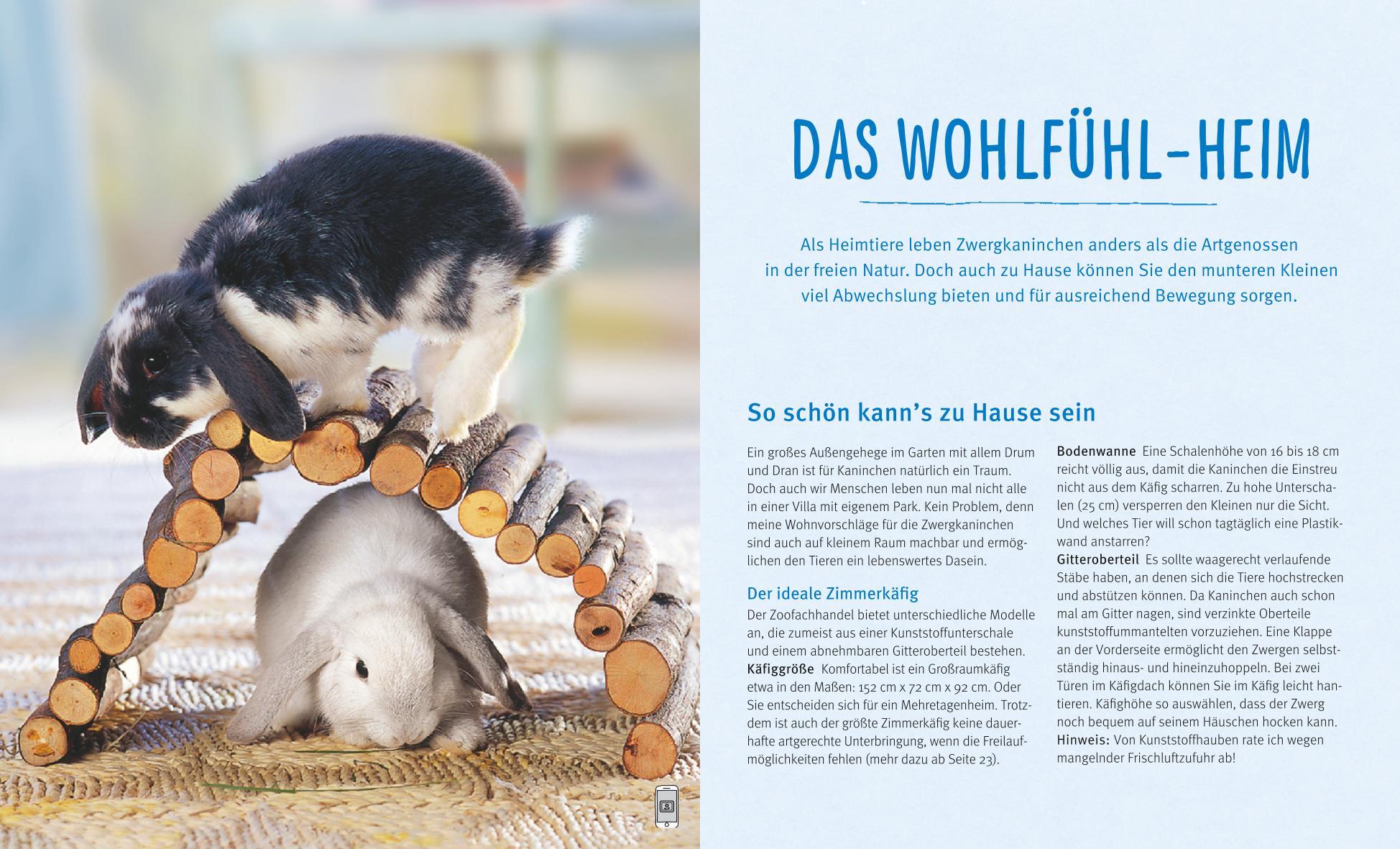 Beispielinhalt (Bild) Zwergkaninchen