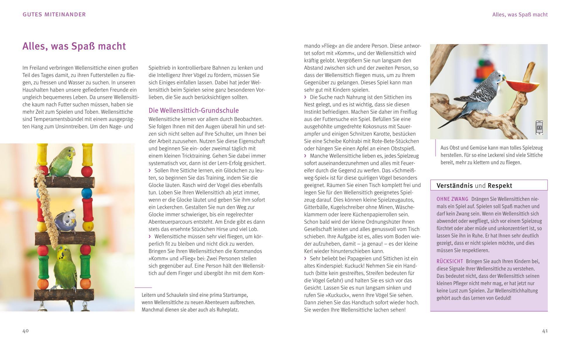 Beispielinhalt (Bild) Wellensittiche