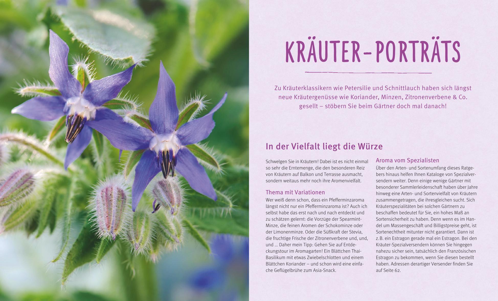 Beispielinhalt (Bild) Küchenkräuter in Töpfen