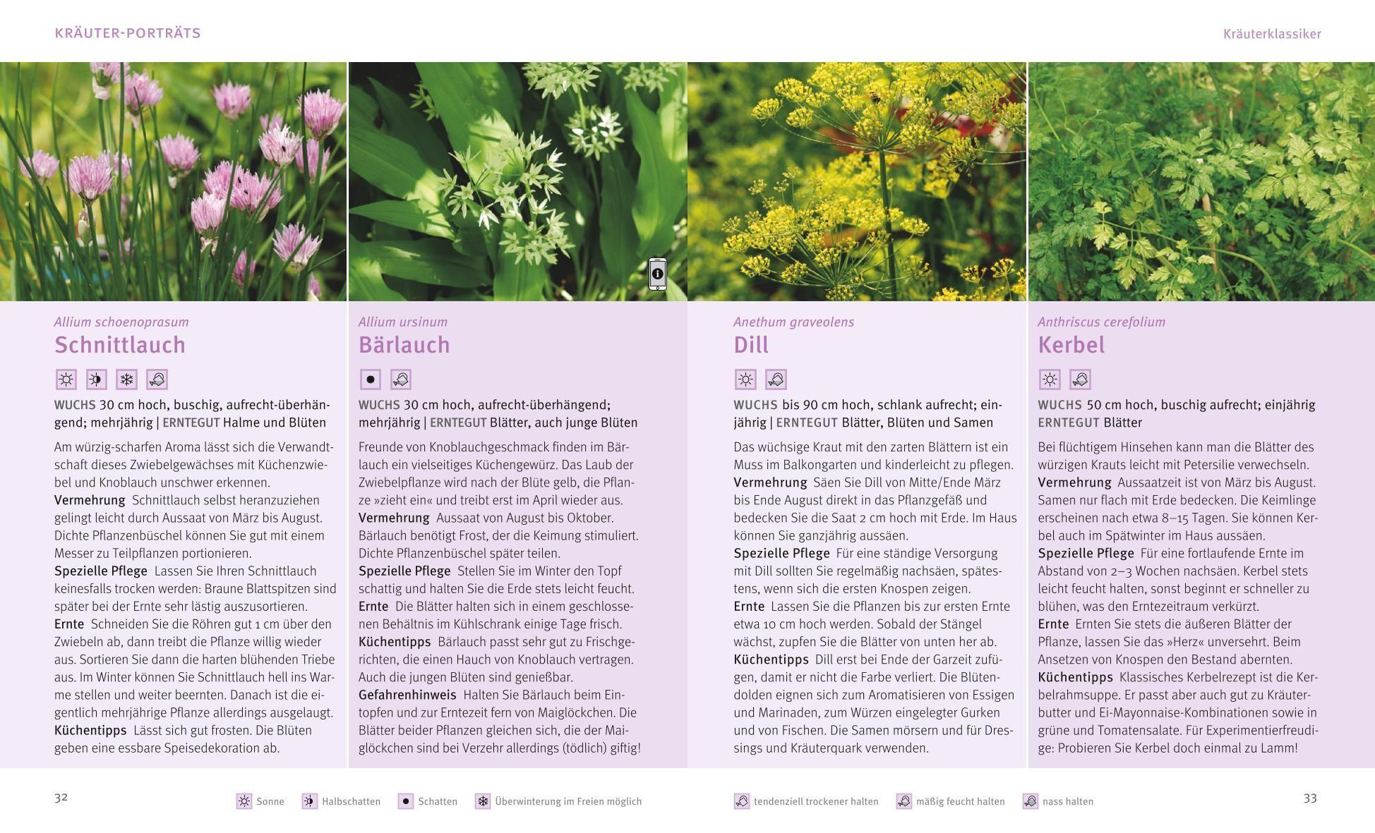 Beispielinhalt (Bild) Küchenkräuter in Töpfen