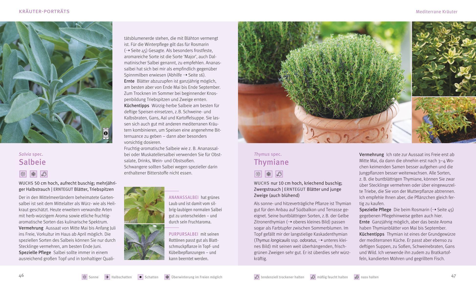 Beispielinhalt (Bild) Küchenkräuter in Töpfen