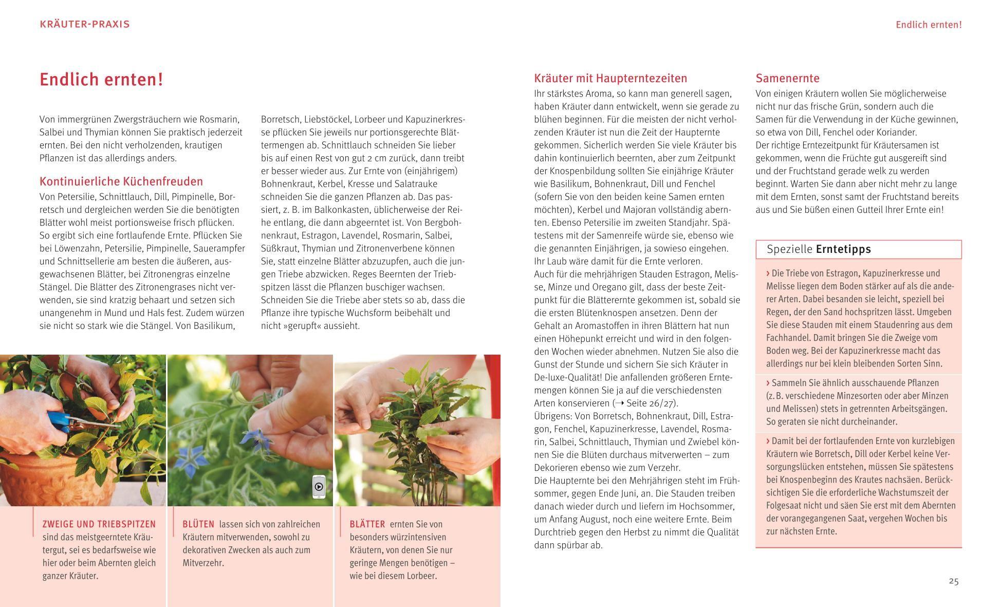 Beispielinhalt (Bild) Küchenkräuter in Töpfen