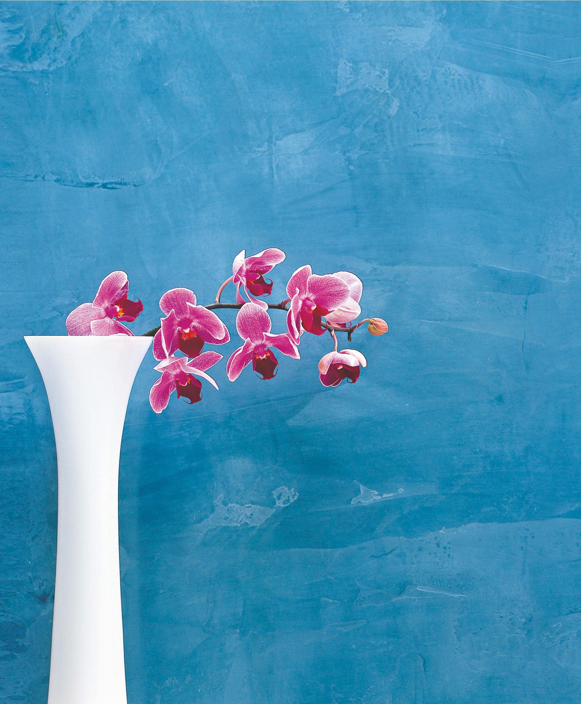 Beispielinhalt (Bild) Feng Shui