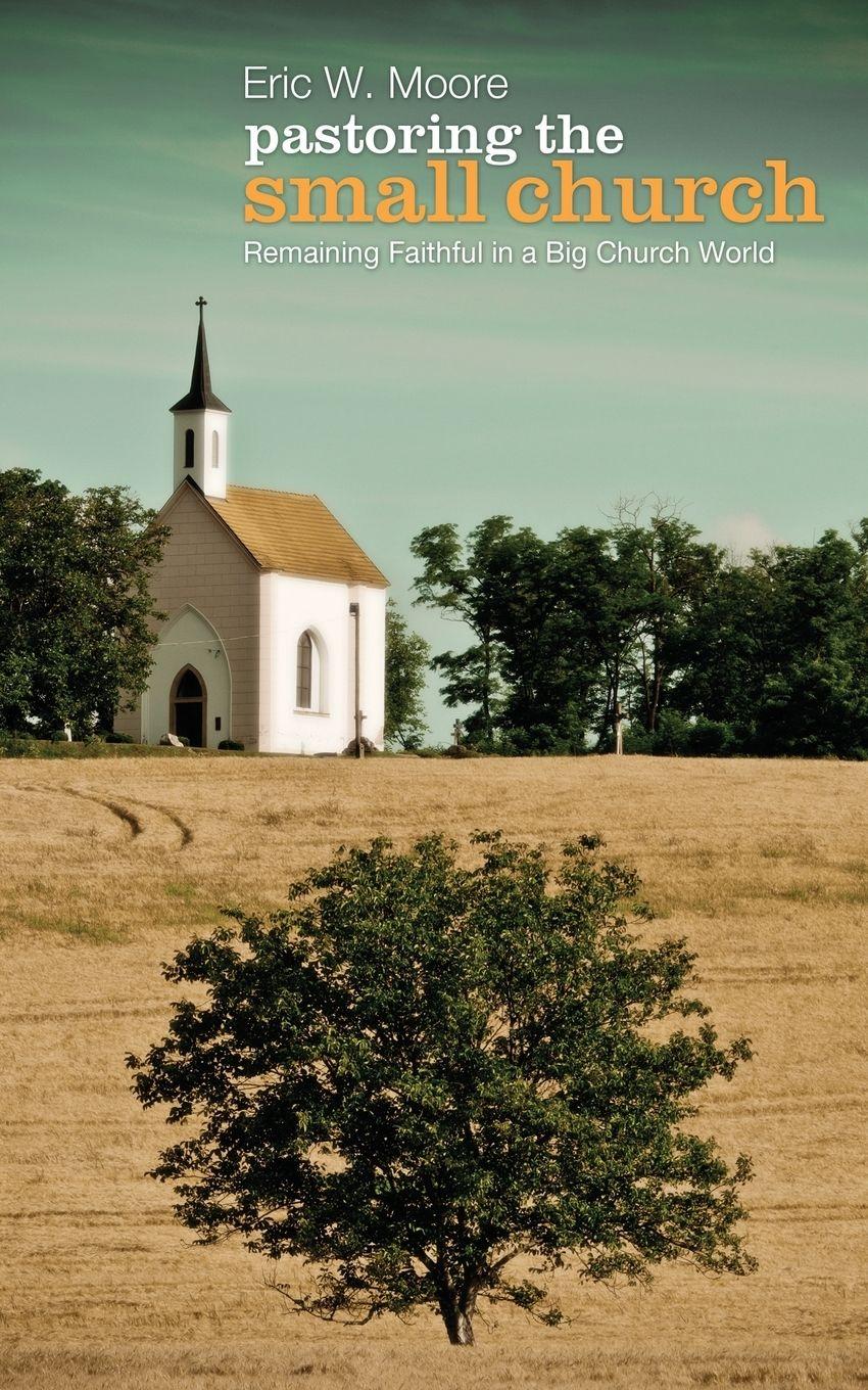 Vorderes Coverbild Pastoring the Small Church