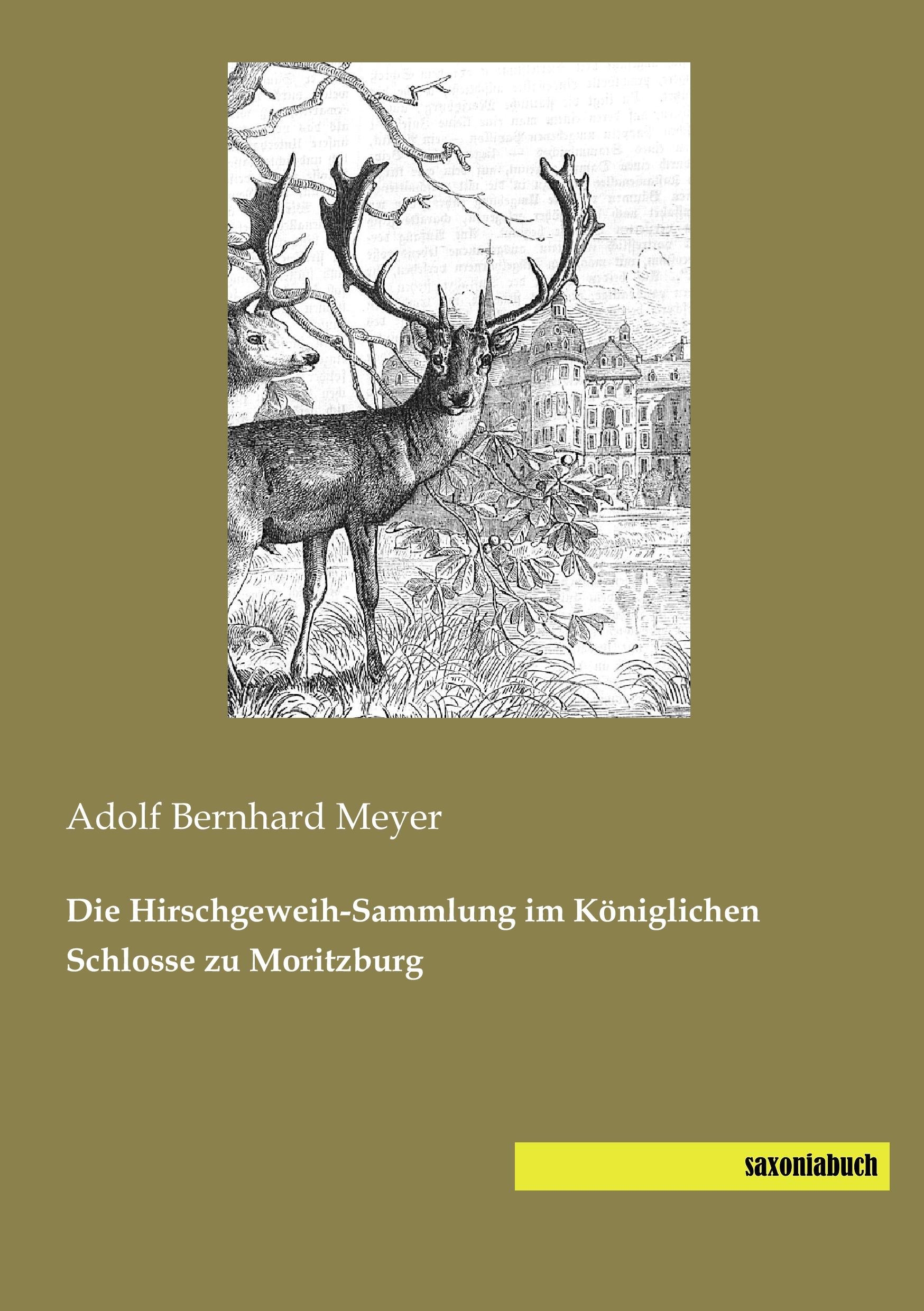 Vorderes Coverbild Die Hirschgeweih-Sammlung im Königlichen Schlosse zu Moritzburg