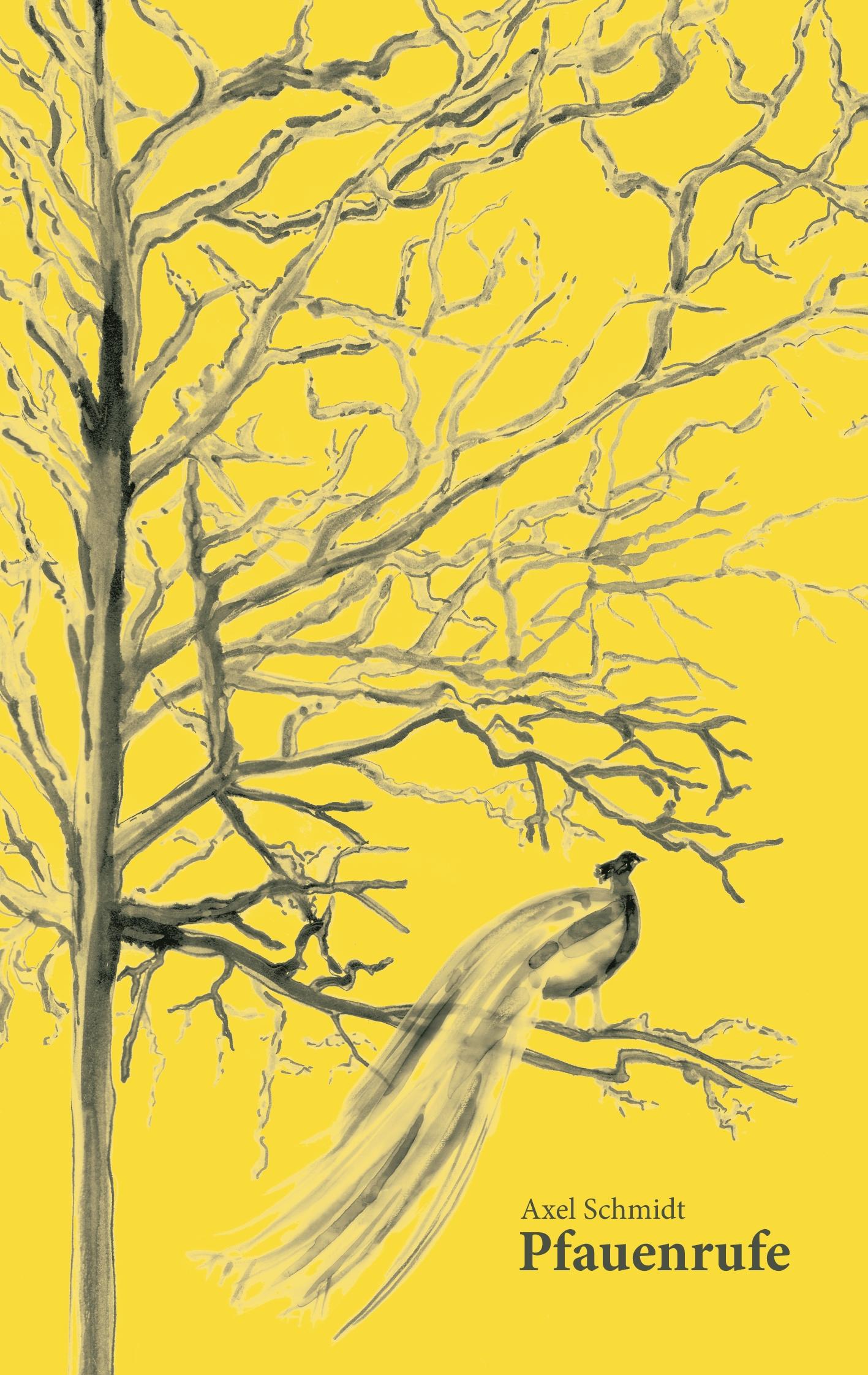 Vorderes Coverbild Pfauenrufe