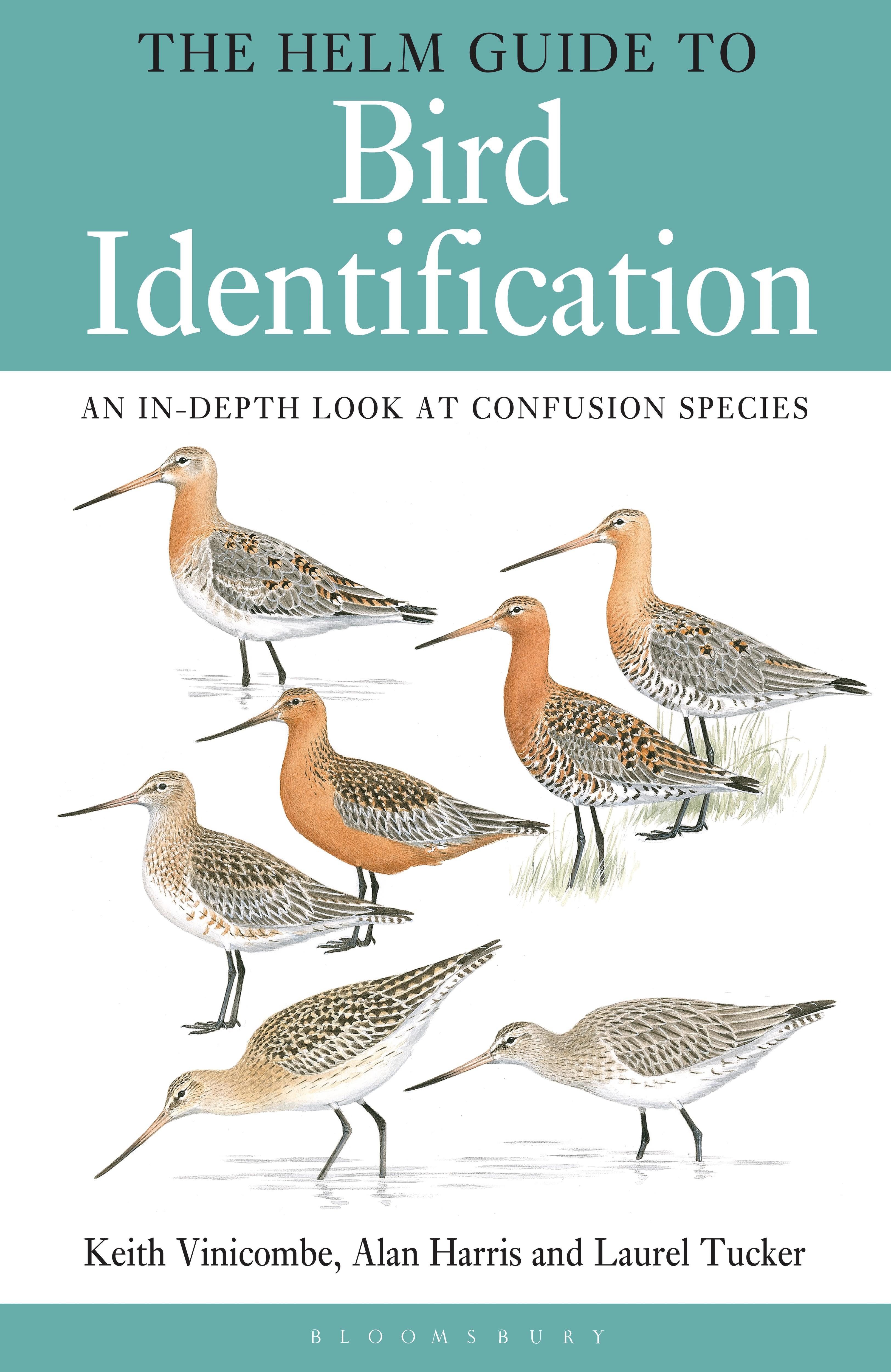 Vorderes Coverbild The Helm Guide to Bird Identification