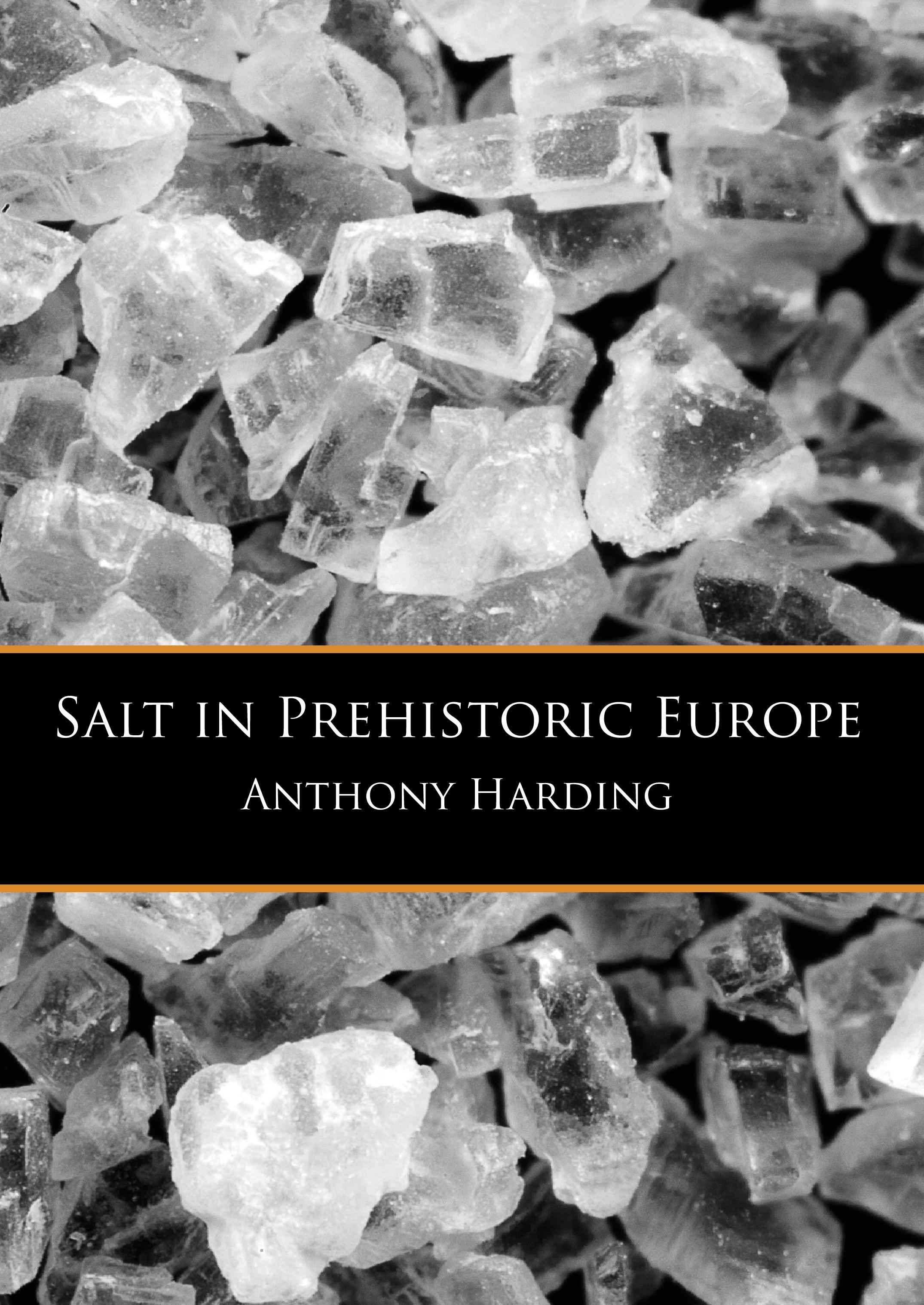 Vorderes Coverbild Salt in Prehistoric Europe