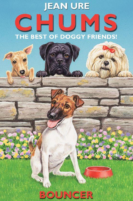 Vorderes Coverbild Bouncer