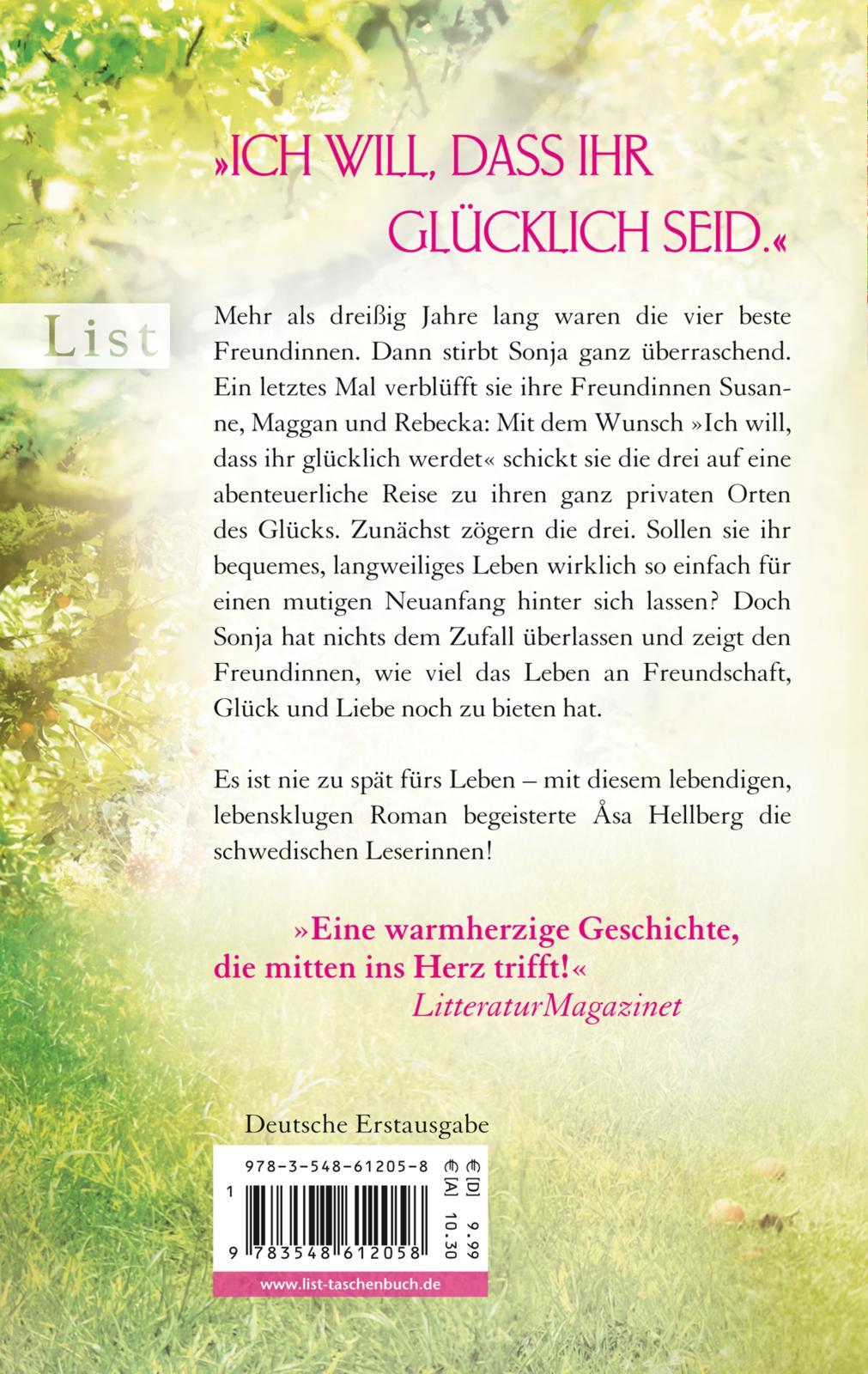 Rückseitencover Sommerfreundinnen