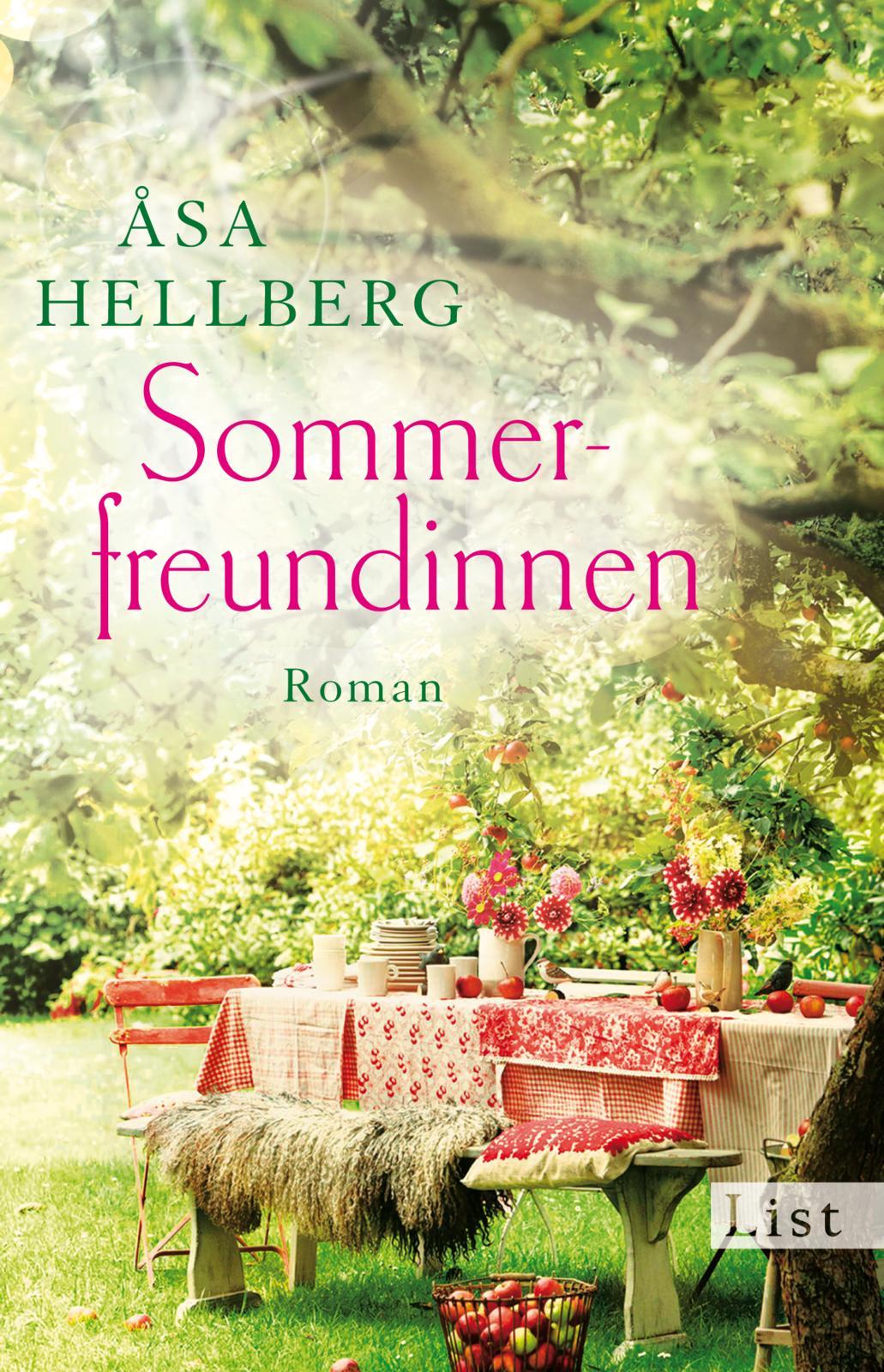 Vorderes Coverbild Sommerfreundinnen