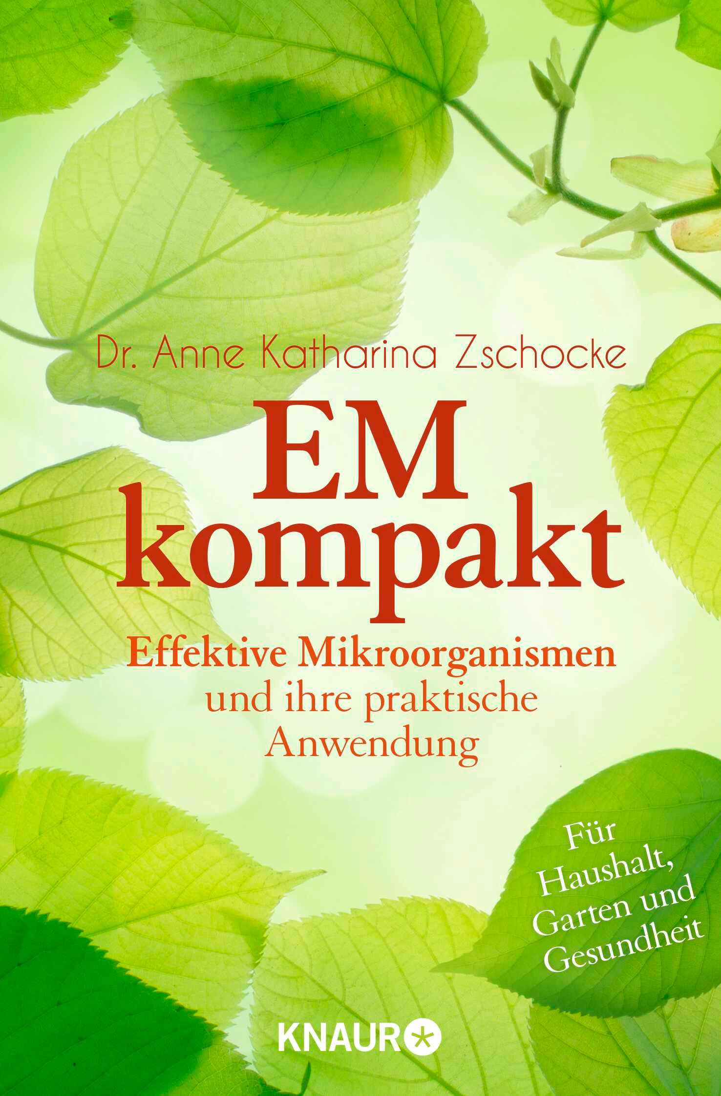 Vorderes Coverbild EM kompakt