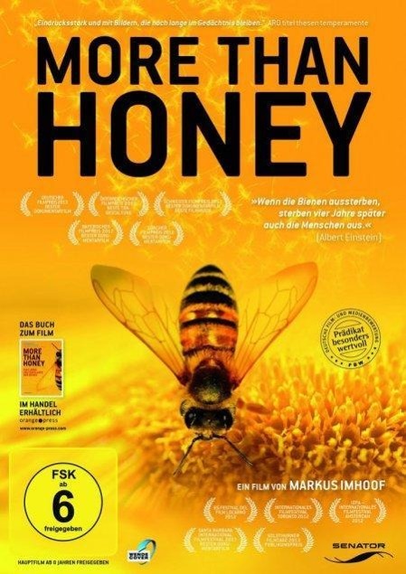Vorderes Coverbild More Than Honey