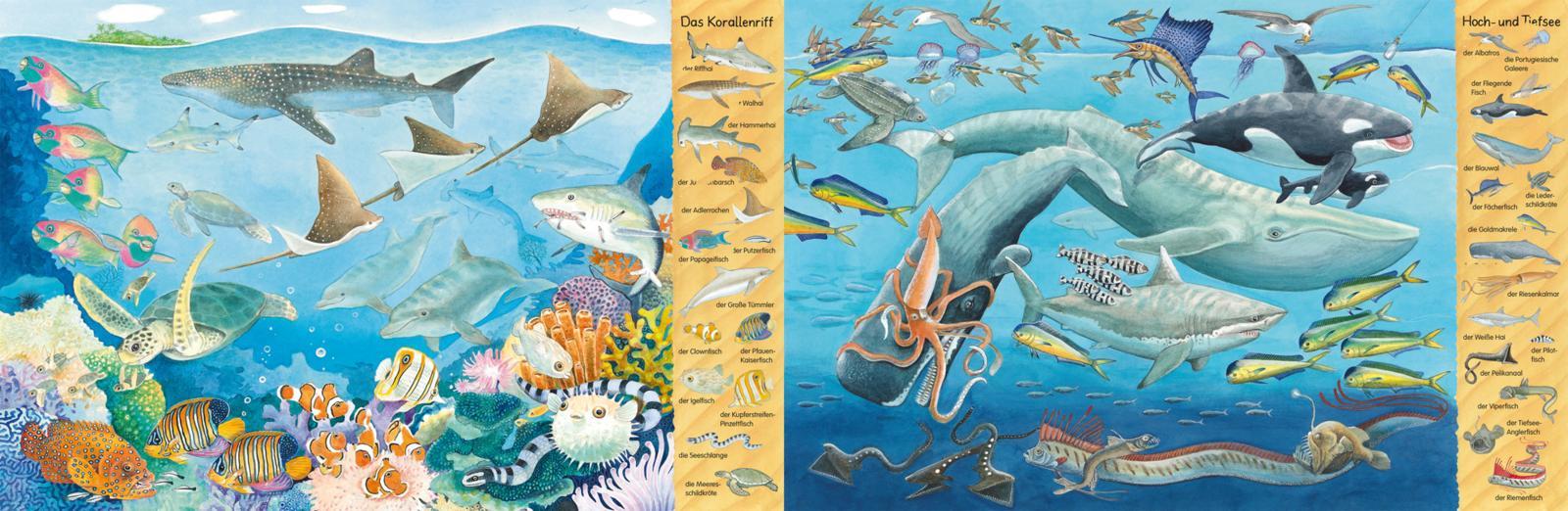 Beispielinhalt (Bild) Mein erstes Wimmelbuch - Am Meer
