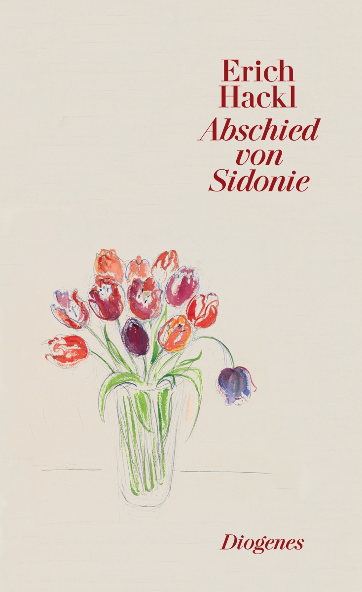 Vorderes Coverbild Abschied von Sidonie