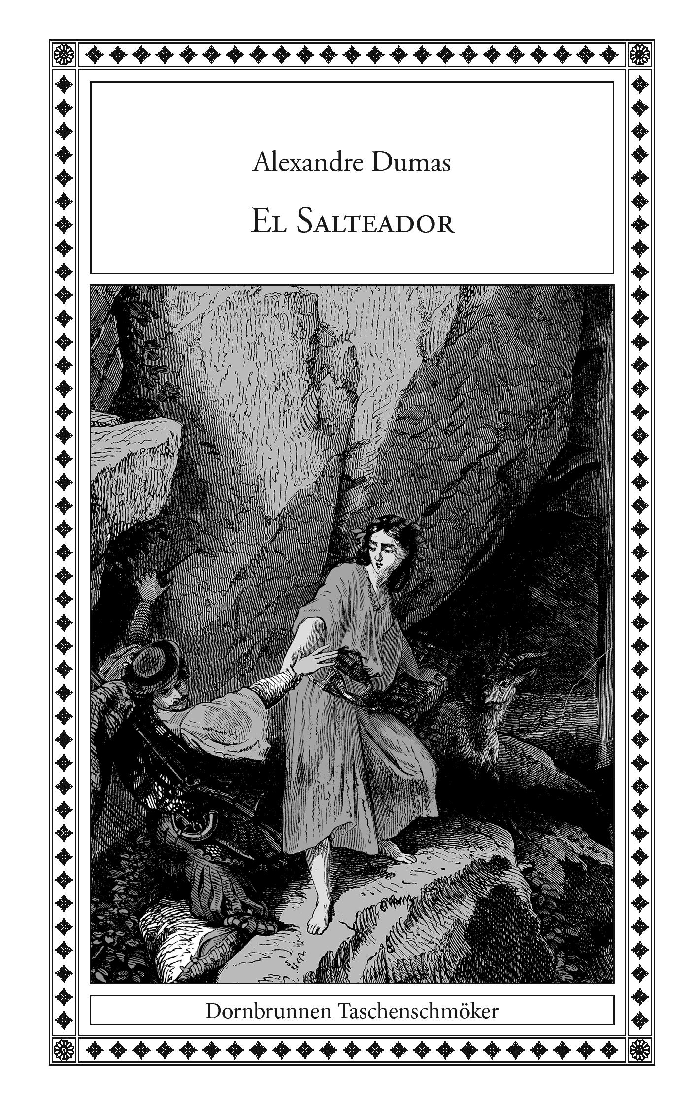Vorderes Coverbild El Salteador
