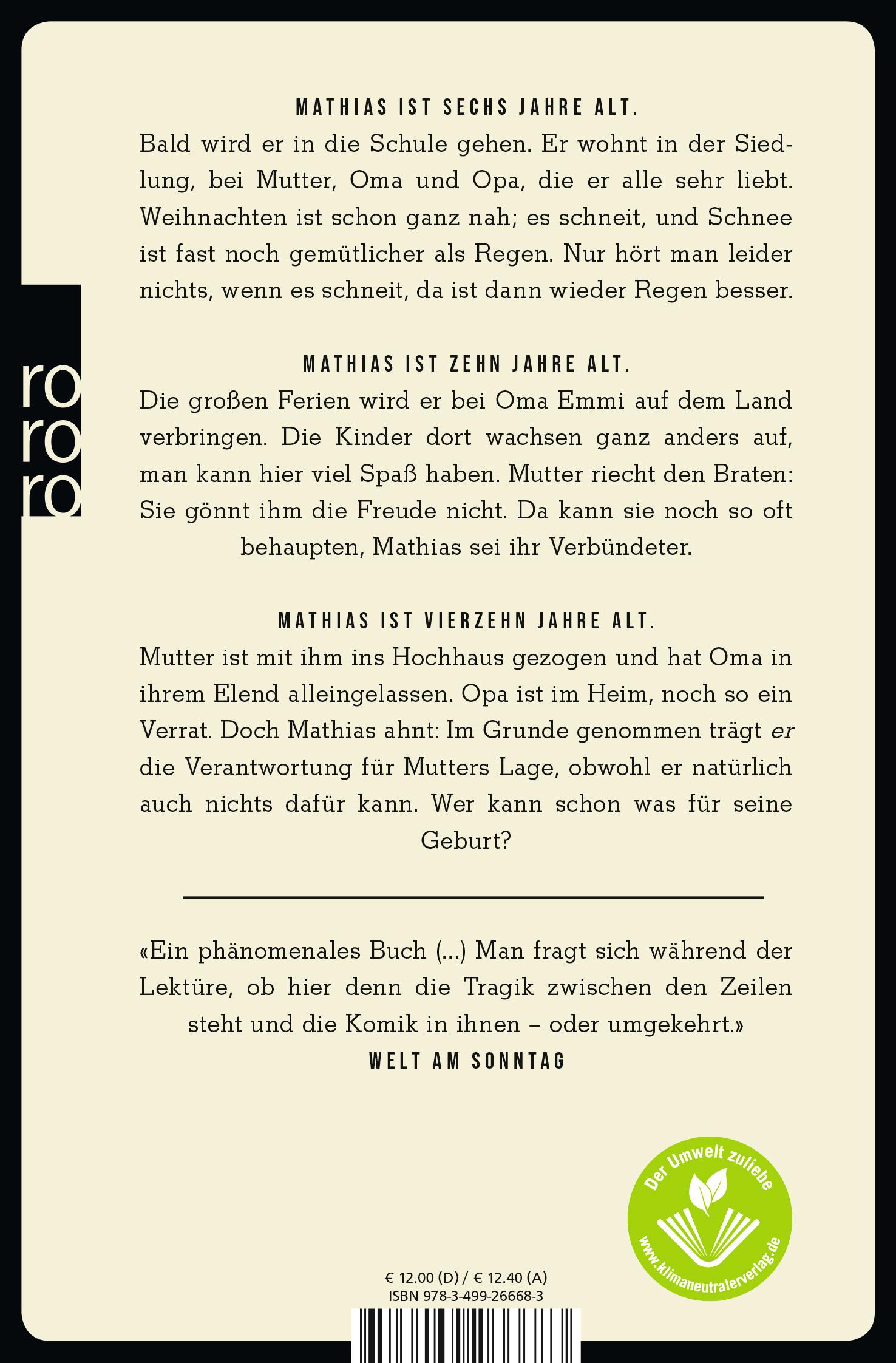 Rückseitencover Junge rettet Freund aus Teich