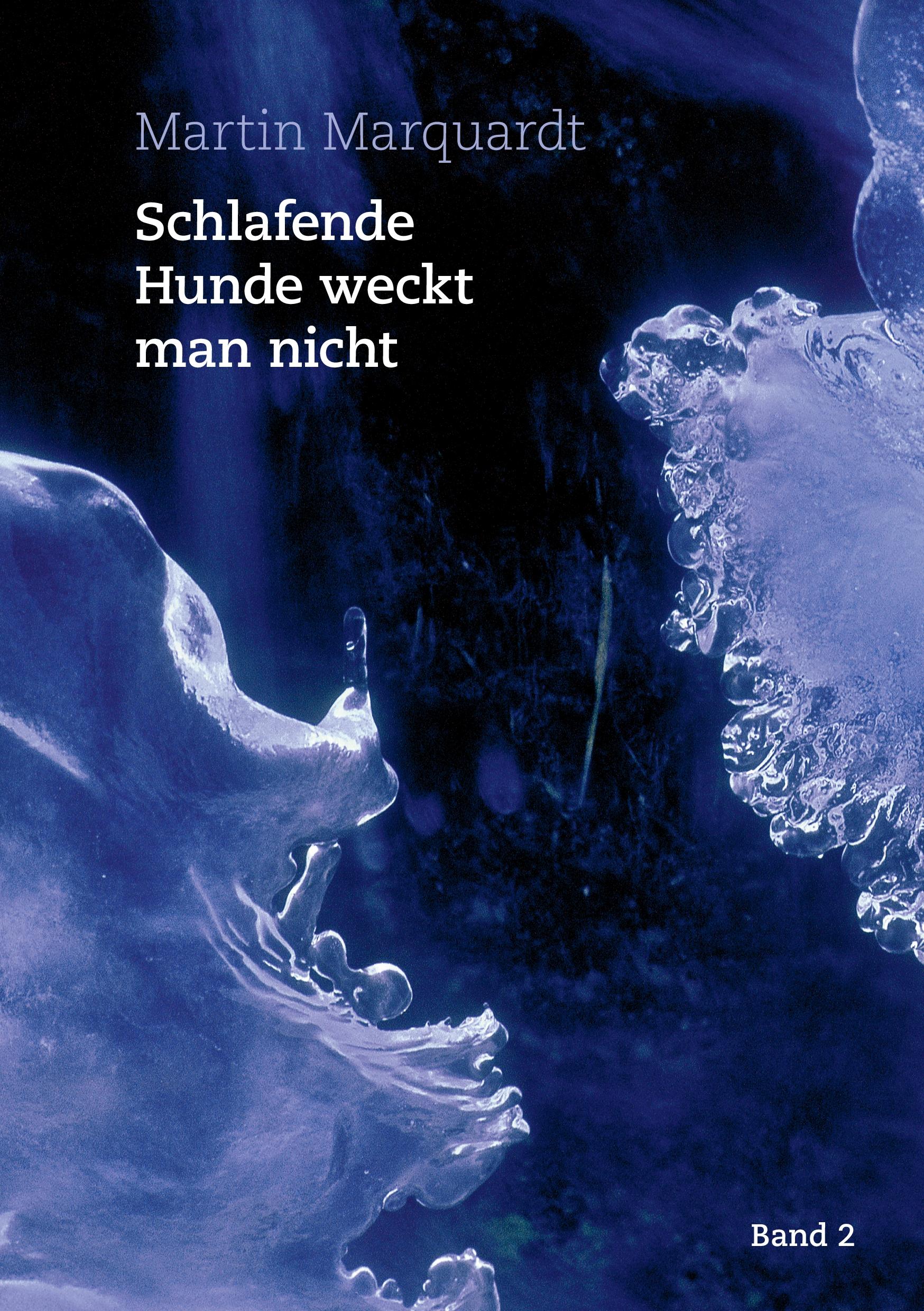 Vorderes Coverbild Schlafende Hunde weckt man nicht