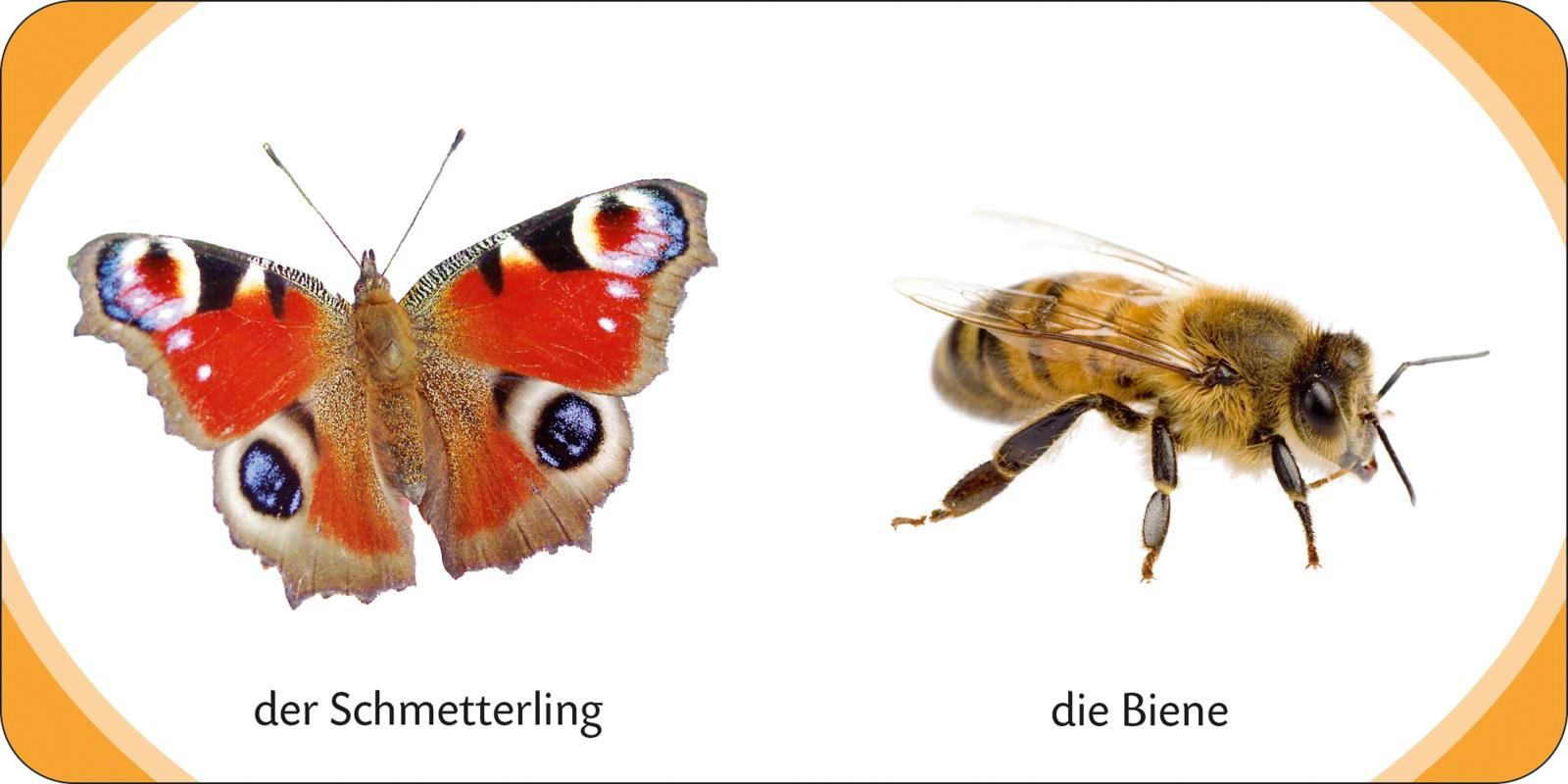 Beispielinhalt (Bild) Kennst du das? Meine kleine Tierwelt