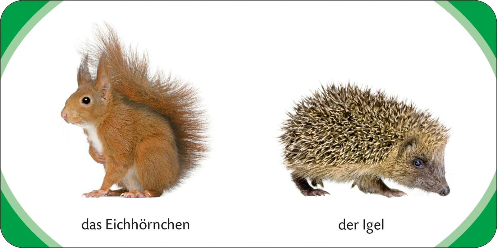 Beispielinhalt (Bild) Kennst du das? Meine kleine Tierwelt