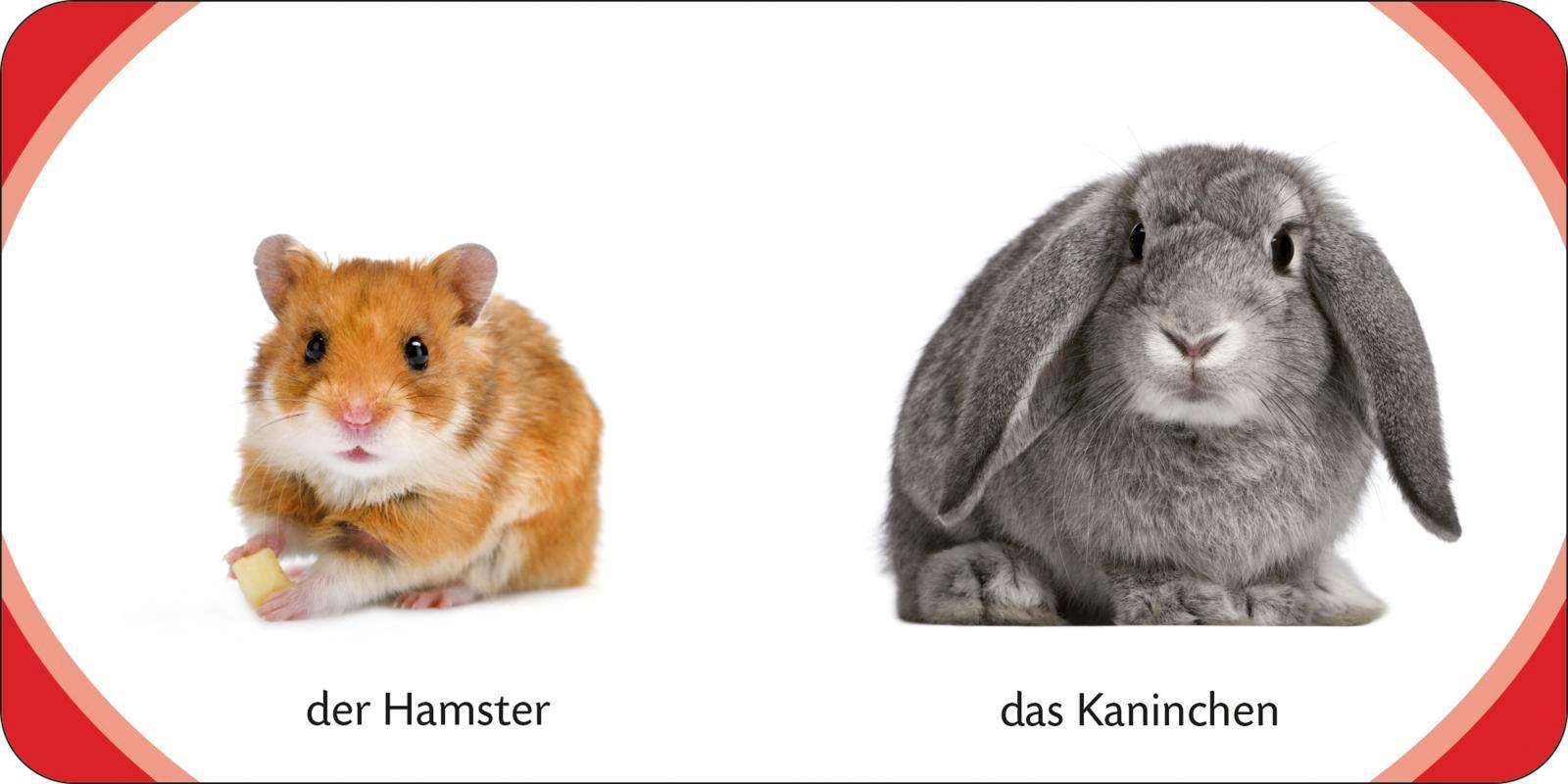 Beispielinhalt (Bild) Kennst du das? Meine kleine Tierwelt