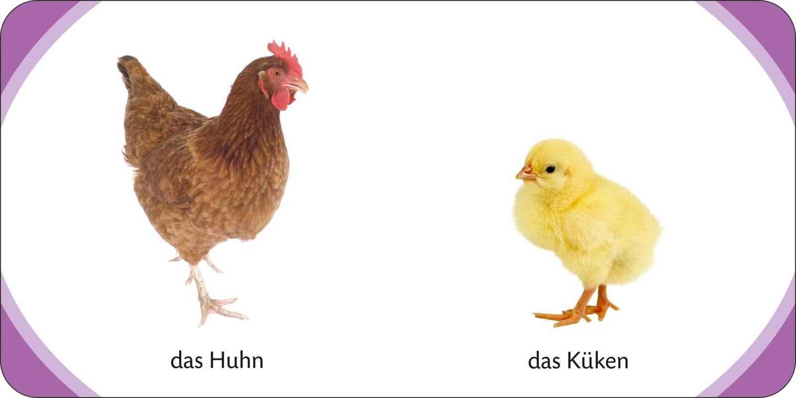 Beispielinhalt (Bild) Kennst du das? Meine kleine Tierwelt