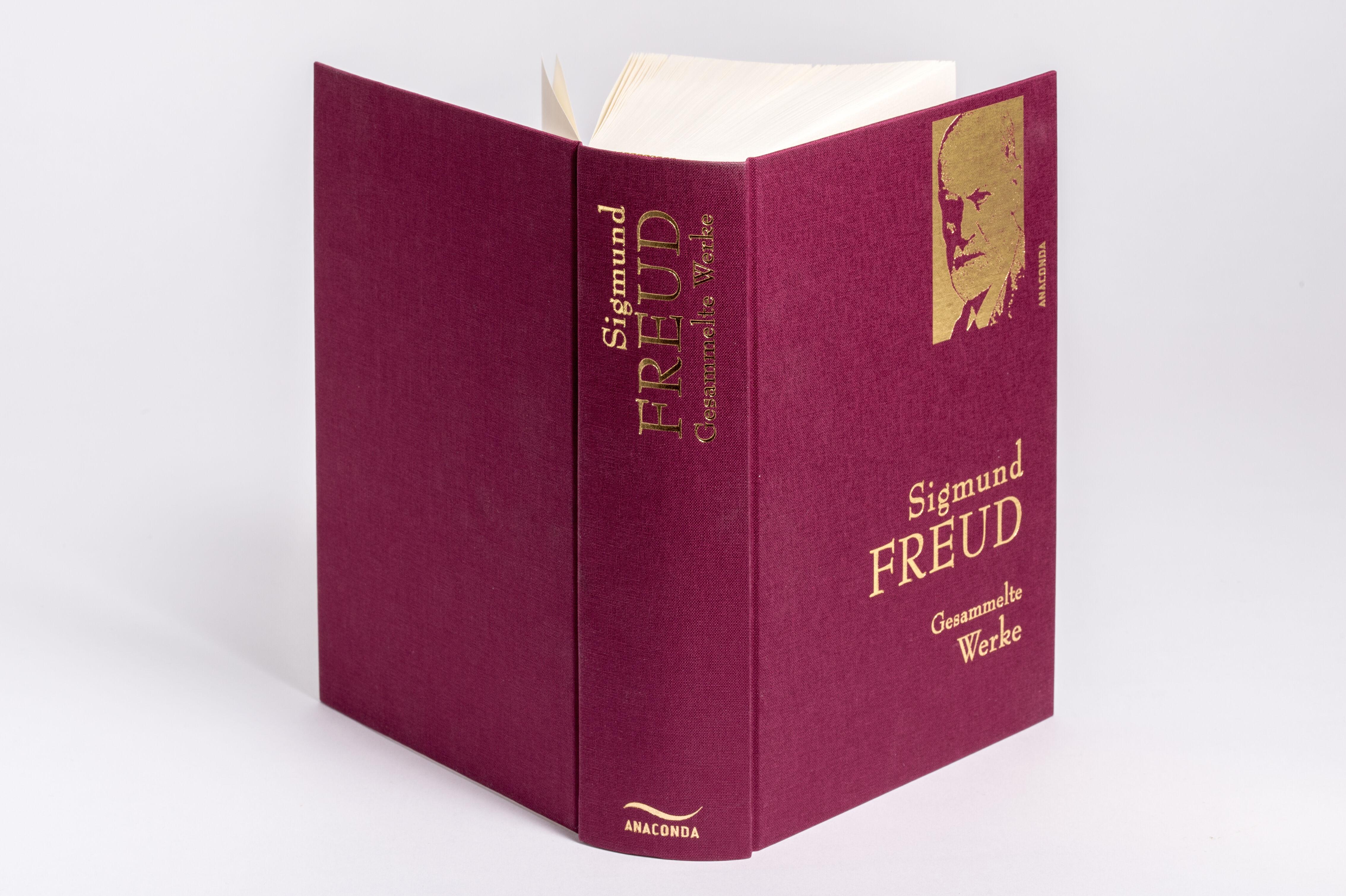 Beispielinhalt (Bild) Sigmund Freud - Gesammelte Werke