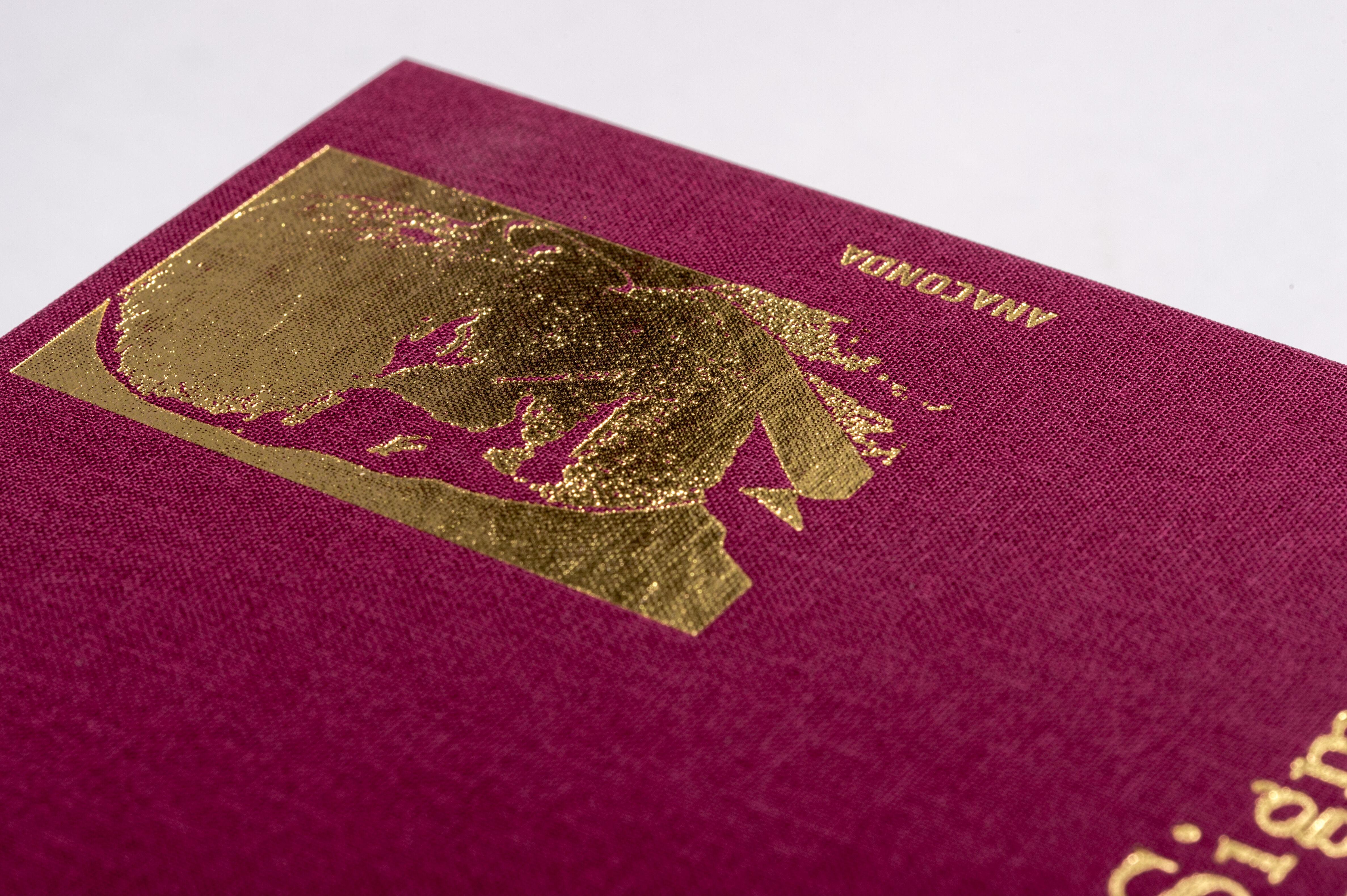 Beispielinhalt (Bild) Sigmund Freud - Gesammelte Werke