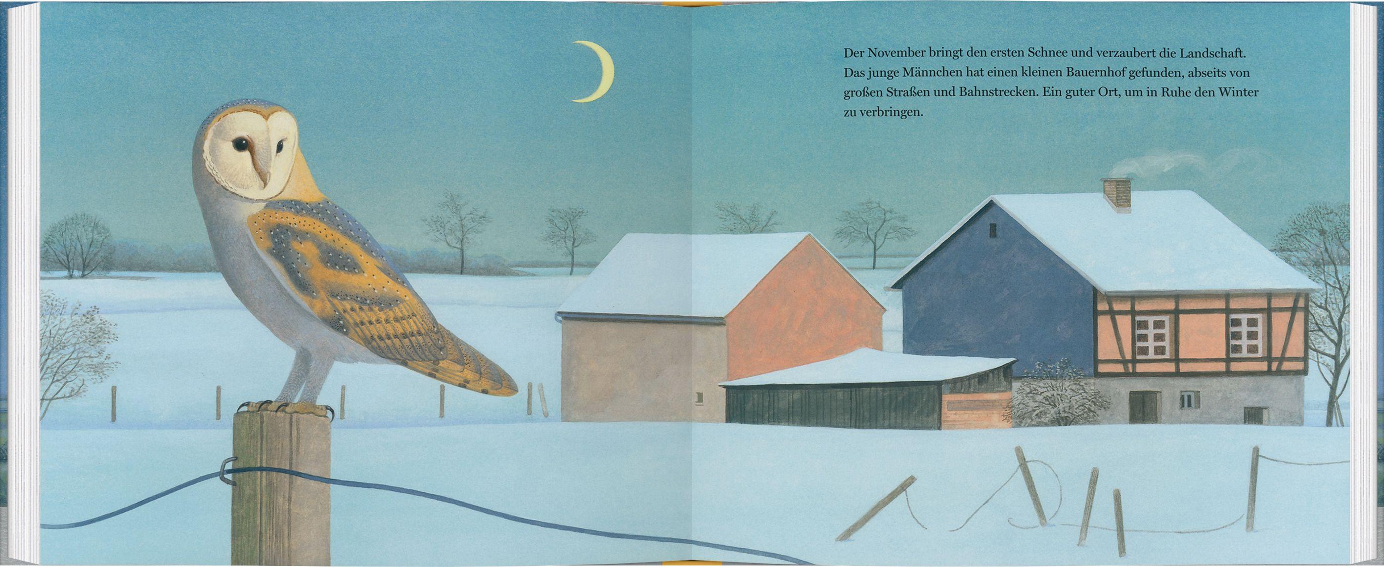 Beispielinhalt (Bild) Ein Jahr mit den Eulen