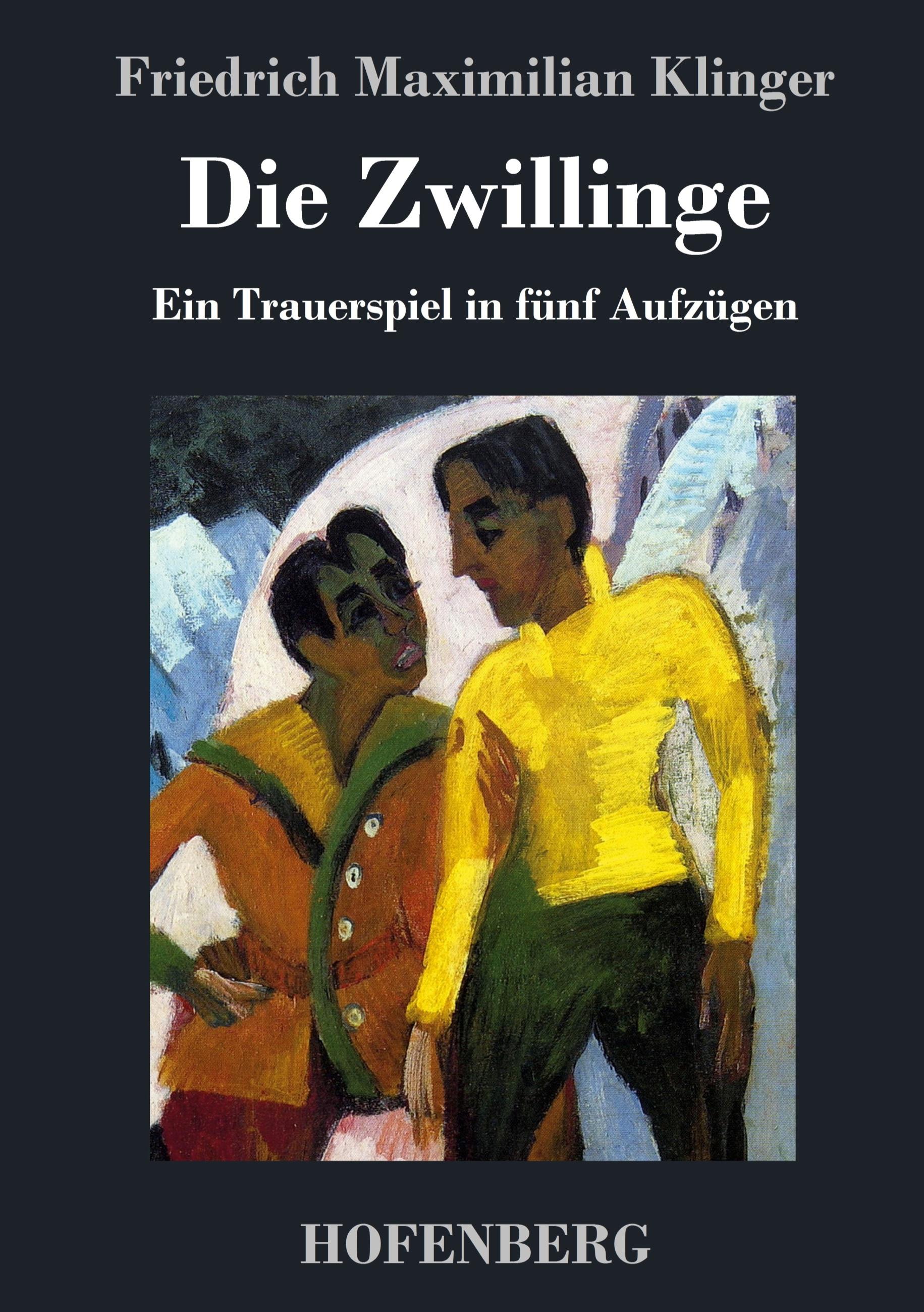 Vorderes Coverbild Die Zwillinge