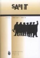 Vorderes Coverbild Sari It