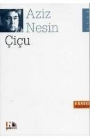 Vorderes Coverbild Cicu