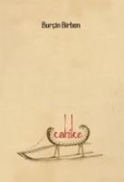 Vorderes Coverbild Cahilce